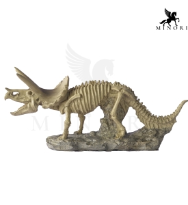 XƯƠNG KHỦNG LONG