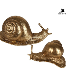 Ốc sên vàng (cặp)