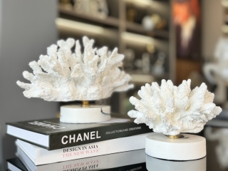 Tượng San Hô Trắng Decor: Sắc Đẹp Tự Nhiên Trong Trang Trí Nội Thất
