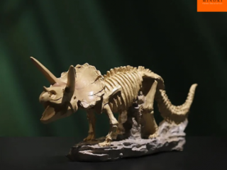  Tượng xương khủng long  tạo nên không gian đẹp mắt là sự kết hợp giữa nghệ thuật và trang trí.