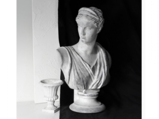 Tượng nữ thần Hy Lạp Venus luôn được coi là biểu tượng của vẻ đẹp.