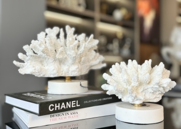 Tượng San Hô Trắng Decor: Sắc Đẹp Tự Nhiên Trong Trang Trí Nội Thất